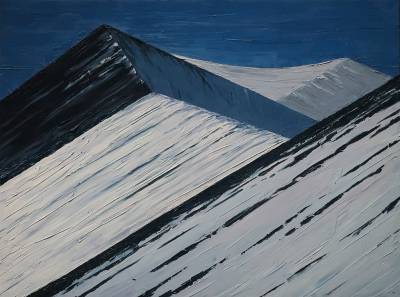 "Miromiro from Grantham Spur" - Painting by Andy Buchanan, an artist from Canterbury, New Zealand.